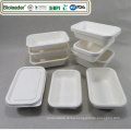 Biodegradable Disposable Take Out to Go Fiber Pulp Lunch Fruit Food Tray with Lid